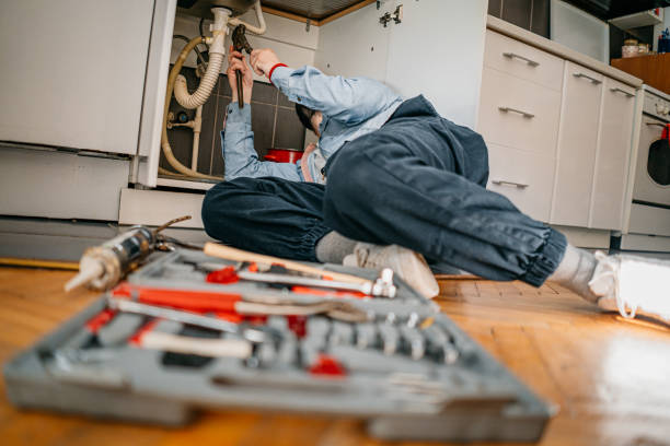 Best Same-Day Plumbing Service  in Leadwood, MO