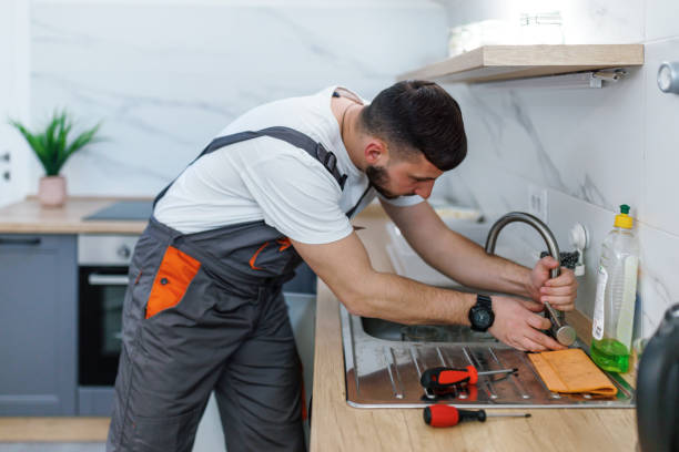 Best Plumbing Services Near Me  in Leadwood, MO