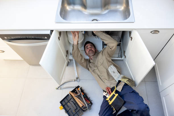 Best Emergency Plumber  in Leadwood, MO